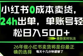 小红书0成本AI卖货,24小时出单,全流程托管,保底日入500+,每天十几分钟就够了【揭秘】