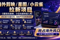 海外剪映 / 星图 / 小云雀拉新项目 普通人也能上手的跨境流量变现副业