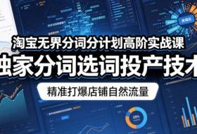 淘宝无界分词分计划高阶实战课,独家分词选词投产技术,精准打爆店铺自然流量