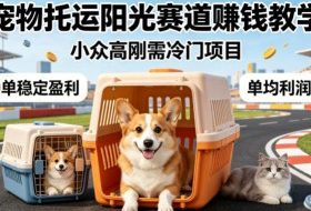 宠物托运阳光赛道賺钱教学，小众高刚需冷门项目，日均10单稳定盈利，单均利润200+