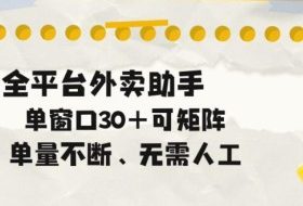 单量不断，全平台外卖自动助手，单窗口30+可矩阵操作【揭秘】