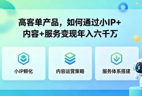 高客单产品，如何通过小IP+内容+服务变现年入六干W