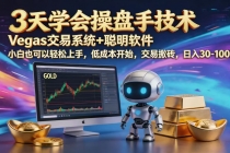 三天学会操盘手技术,vegas技术+聪明软件,小白也可以轻松上手,日入1000+