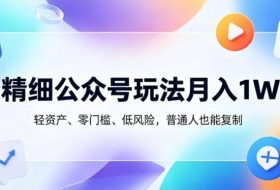 精细公众号玩法月入1W，轻资产、零门槛、低风险，普通人也能复制【揭秘】