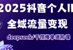 抖音个人IP全域流量变现进阶课，deepseek千川爆单进阶课（更新2026年05月）