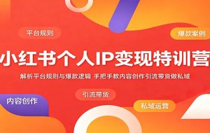 小红书个人IP变现特训营：解析平台规则与爆款逻辑，手把手教内容创作引流带货做私域