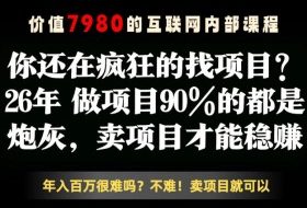 26年请不要疯狂的找项目了，卖项目远比你想象的暴利，你也可以月入10W+【揭秘】