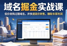域名交易掘金实战课，低价收购过期域名，并快速高价转售，賺取丰厚利润【原创双语字幕】
