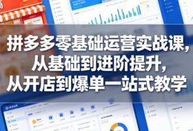 拼多多零基础运营实战课，从基础到进阶提升，从开店到爆单一站式教学