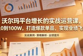 沃尔玛平台增长的实战运营课，从0到100W，打造爆款单品，实现业绩飞跃