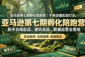 亚马逊第七期孵化陪跑营｜千单店铺实战打法，新手合规起店、避坑选品、数据运营全落地