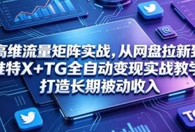 高维流量矩阵实战，从网盘拉新到推特X+TG全自动变现实战教学，打造长期被动收入
