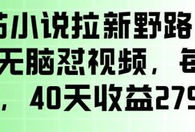 番茄小说拉新野路子玩法，无脑怼视频，玩法简单、见效快，每单10米，40天收益27950