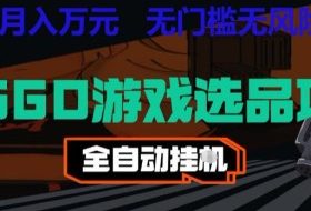 CSGO游戏自动扫货项目，全自动运行，月入1W，无风险，长期稳定可以做【揭秘】