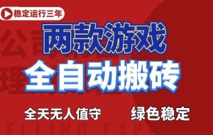 （18791期）海外游戏全自动搬砖，日入1000+，全天无人值守，绿色稳定！