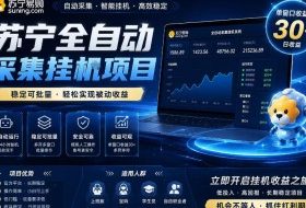 苏宁全自动采集挂G项目，稳定可批量，单窗口收益30+，可矩阵放大收益【揭秘】