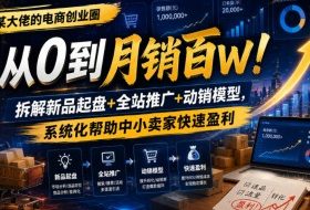 某大佬的电商创业圈从0到月销百W!拆解新品起盘+全站推广+动销模型,系统化帮助中小卖家快速盈利