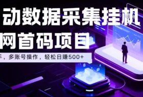 全自动数据采集挂G,全网首码项目,简单易操作,小白也能轻松上手,多账号操作,轻松日入500+【揭秘】