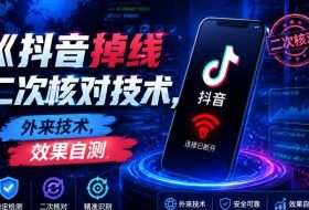 抖音掉线二次核对技术,外来技术,效果自测