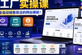 网站工厂实操课，无需客服，网站模板自动赚钱！【原创双语字幕】