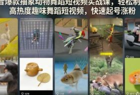 抖音爆款抽象动物舞蹈短视频实战课,轻松制作高热度趣味舞蹈短视频,快速起号涨粉