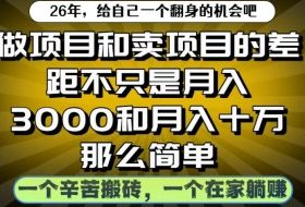 做项目和卖项目不只是月入3K和10W那么简单，一个努力搬砖，一个在家躺賺【揭秘】