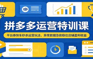 拼多多运营特训课:平台券快车秒杀运营玩法,异常数据急救稳住店铺盈利收益