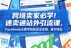 跨境卖家必学！速卖通站外引流课，Facebook从建号到投流全实操，提升转化