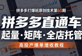 拼多多打爆班原创技术第60期,拼多多直通车,起量・矩阵・全店托管,高投产爆单增收教程