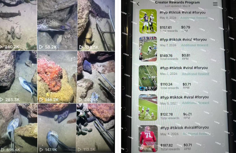 Tiktok中视频解说教程,体育+温情文案双赛道实操教程一站式带你落地,教你出海賺美刀