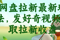 网盘拉新最新玩法，发好奇视频获取拉新收益