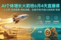 AI个体增长火箭班6月4天直播课,一人公司-实体获客-商机洞察,在躺平和内卷之间找到“普通人创收”的第三曲线
