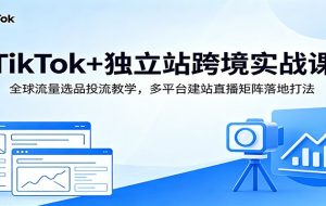 TikTok+独立站跨境实战课：全球流量选品投流教学，多平台建站直播矩阵落地打法