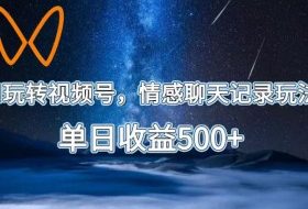 AI玩转视频号，情感聊天记录玩法，单日收益500+【揭秘】