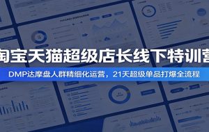 淘宝天猫超级店长线下特训营:DMP达摩盘人群精细化运营,21天超级单品打爆全流程