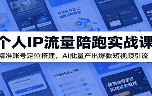 个人IP流量陪跑实战课:精准账号定位搭建,AI批量产出爆款短视频引流