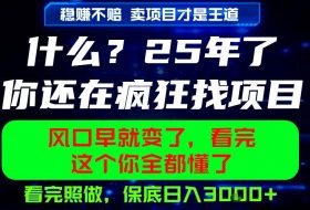 26年，请不要疯狂的找项目做了！卖项目才是真的稳賺不赔，看完照做，保底日入1k+【揭秘】