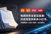 电商财务全套实操课:抖店淘宝拼多多小红书,店铺取数+记账+报税一站式解决