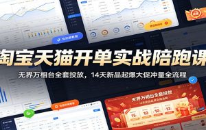 淘宝天猫开单实战陪跑课：无界万相台全套投放，14天新品起爆大促冲量全流程