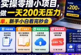 5个实操零撸小项目，认真做一天200无压力，操作简单，新手小白看完秒会【揭秘】