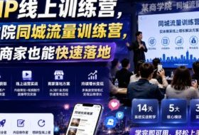 实体IP线上训练营,某商学院同城流量训练营,零基础商家也能快速落地