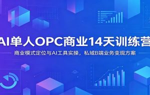 AI单人OPC商业14天训练营：商业模式定位与AI工具实操，私域B端业务变现方案