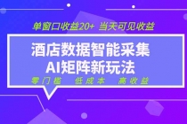 2026酒店数据采集ai智能矩阵新风口  低成本   高收益   当天见收益   单窗口20+