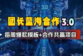 团长蓝海合作3.0，每周爆款模板+合作共赢项目