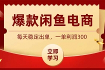 爆款闲鱼电商，卖法简单粗暴，长期稳定可做，一单利润300