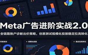 Meta广告进阶实战2.0：全链路账户诊断出价策略，创意测试规模化投放稳定拉高转化