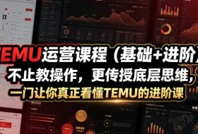 TEMU运营课程（基础+进阶），不止教操作，更传授底层思维，一门让你真正看懂TEMU的进阶课