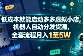 低成本就能启动多多虚拟小店，机器人自动分发货源，全套流程月入1至5W