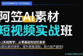 AI视频素材实战班，0-1系统教学，从零基础到进阶高手AI驱动素材焕新，提升跑量潜能，助力投产翻倍