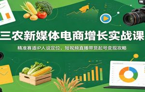 三农新媒体电商增长实战课：精准赛道IP人设定位，短视频直播带货起号变现攻略